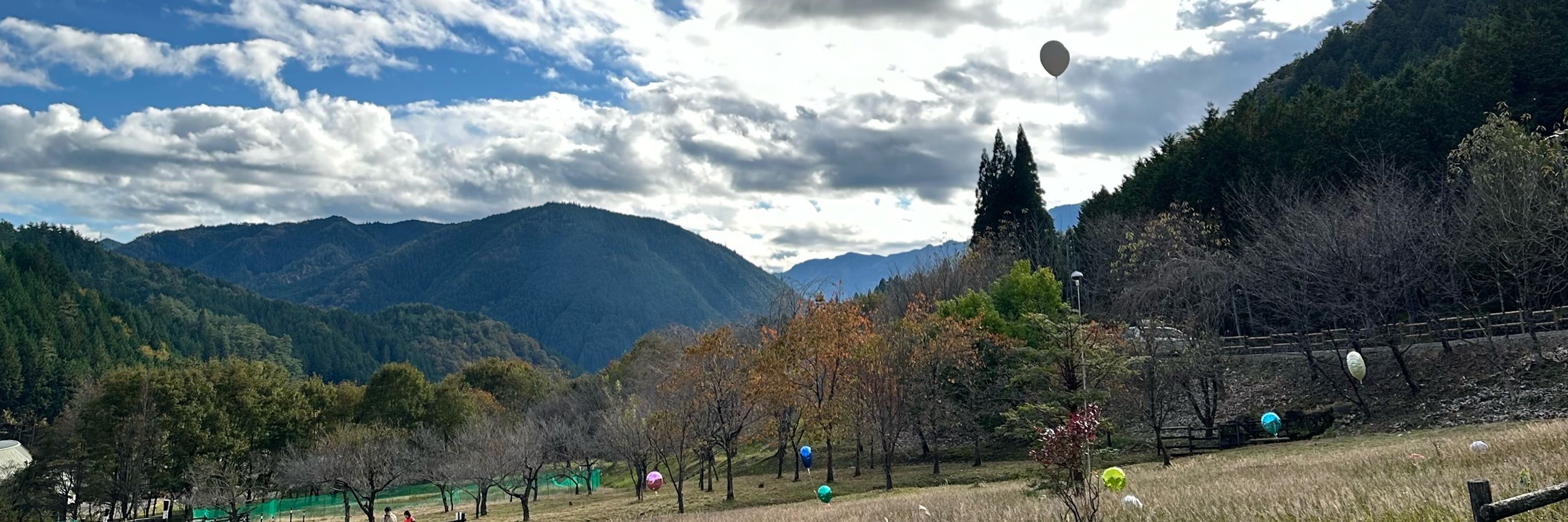 大都会最前線