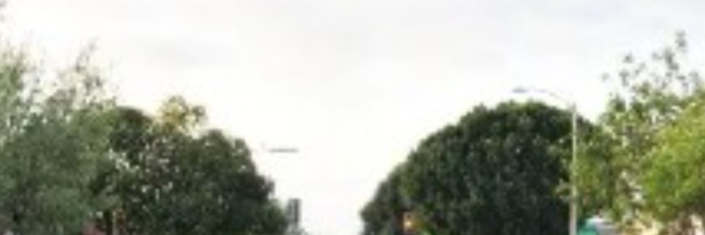 Fallbrook Observer