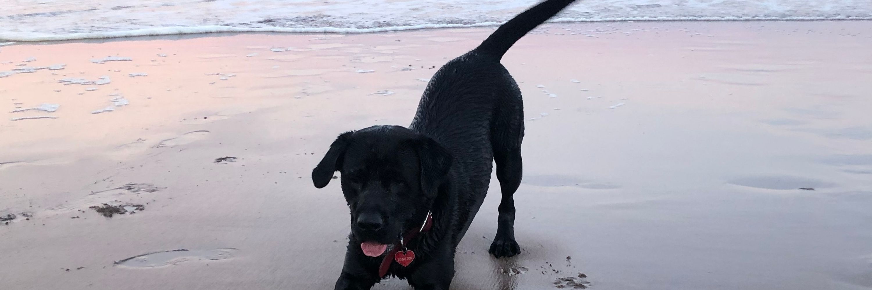 Seaside Jan