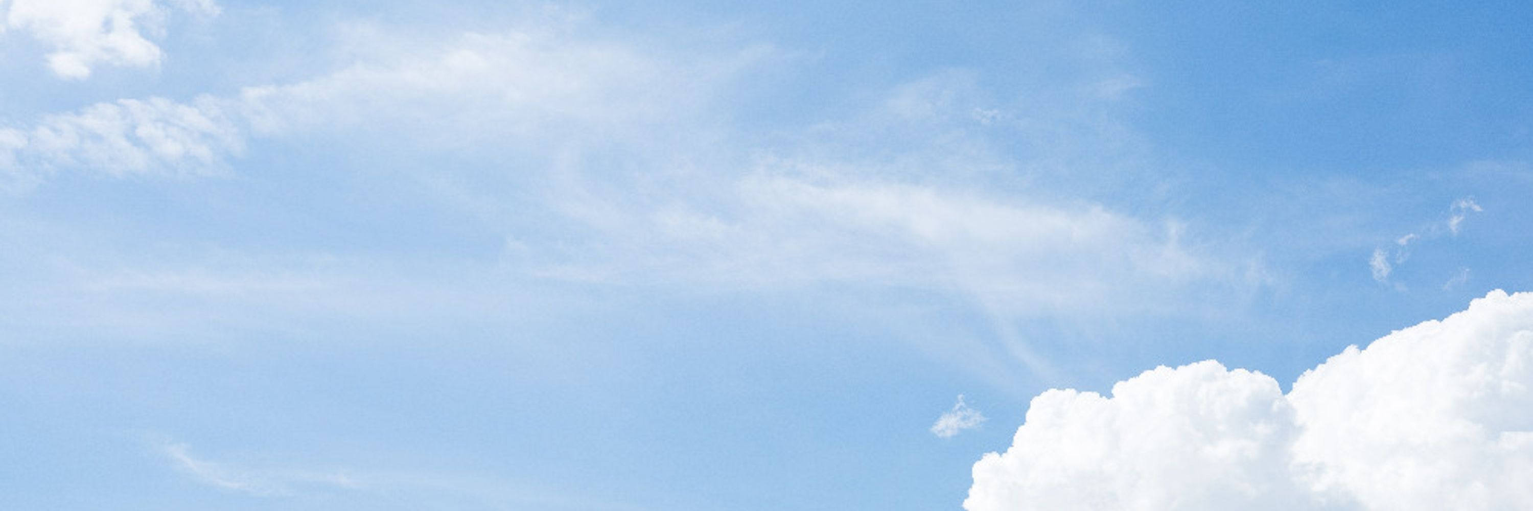 蒼い空にいる咲
