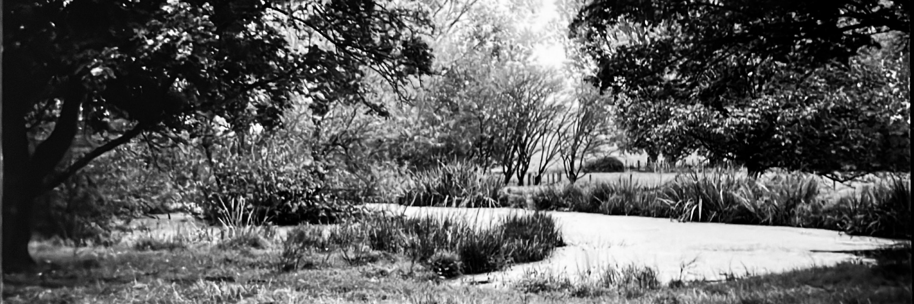 HP5mith