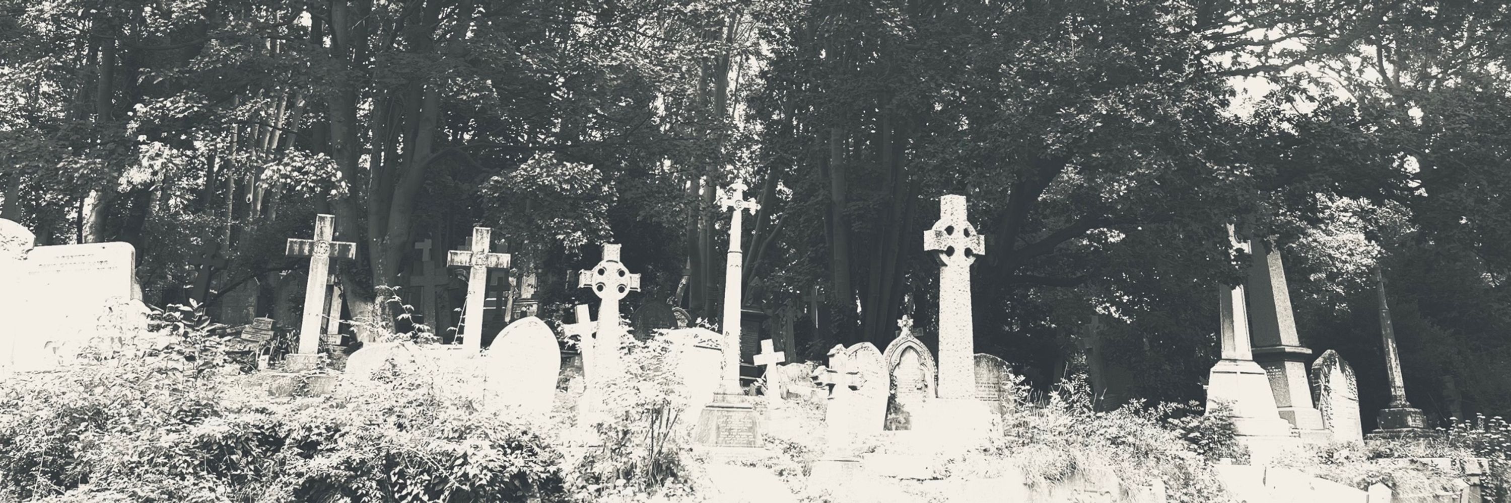 Miss Havisham’s Ghost