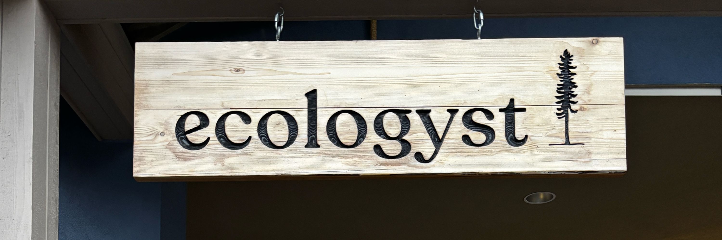 Dr Ecology 🌲
