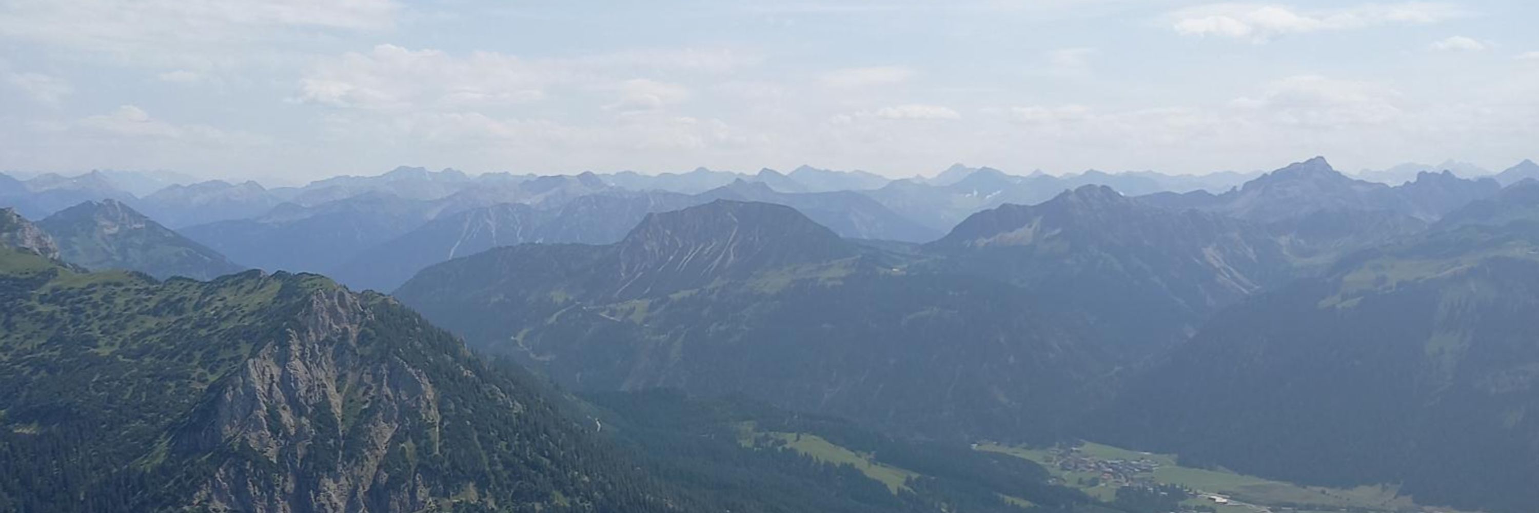 Grünäugig