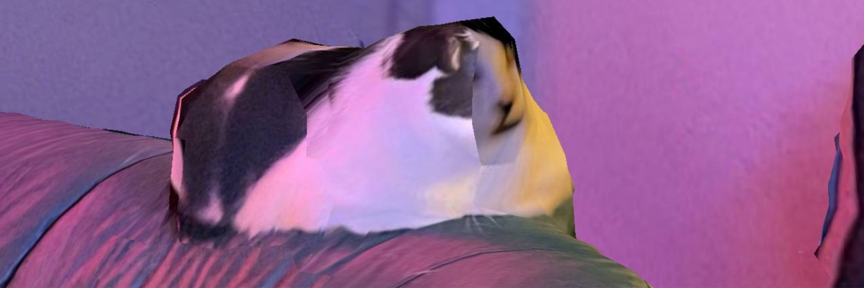 AnimusFoxx