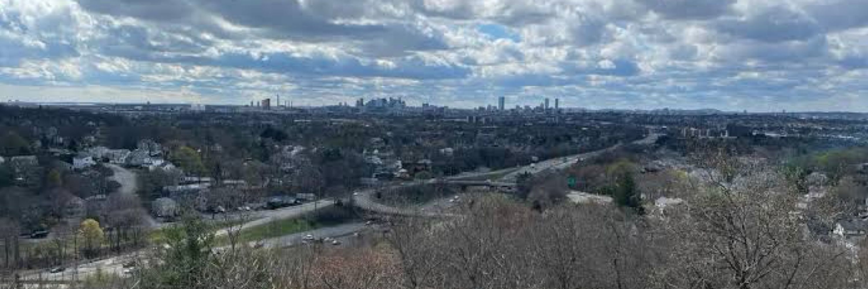 LambFromBoston