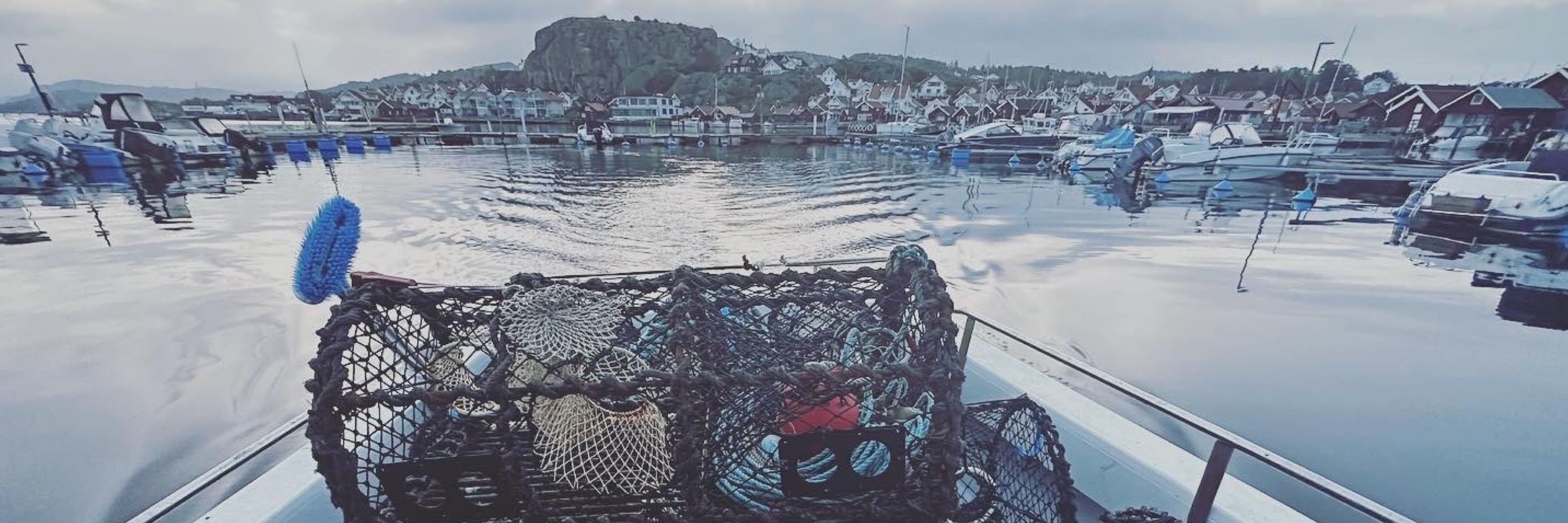 hûmmerfeskarn 🦞🇸🇪