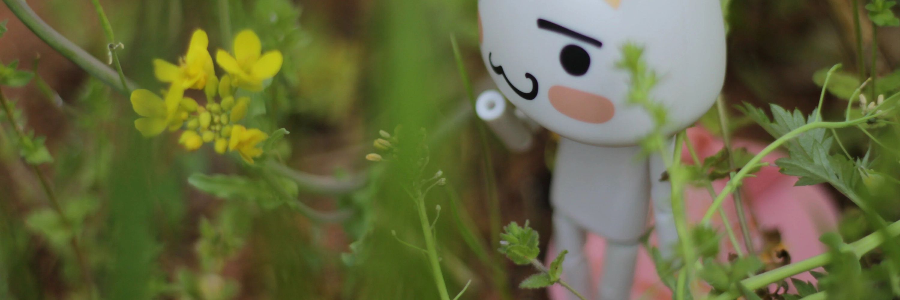 Dougaboii 🌱