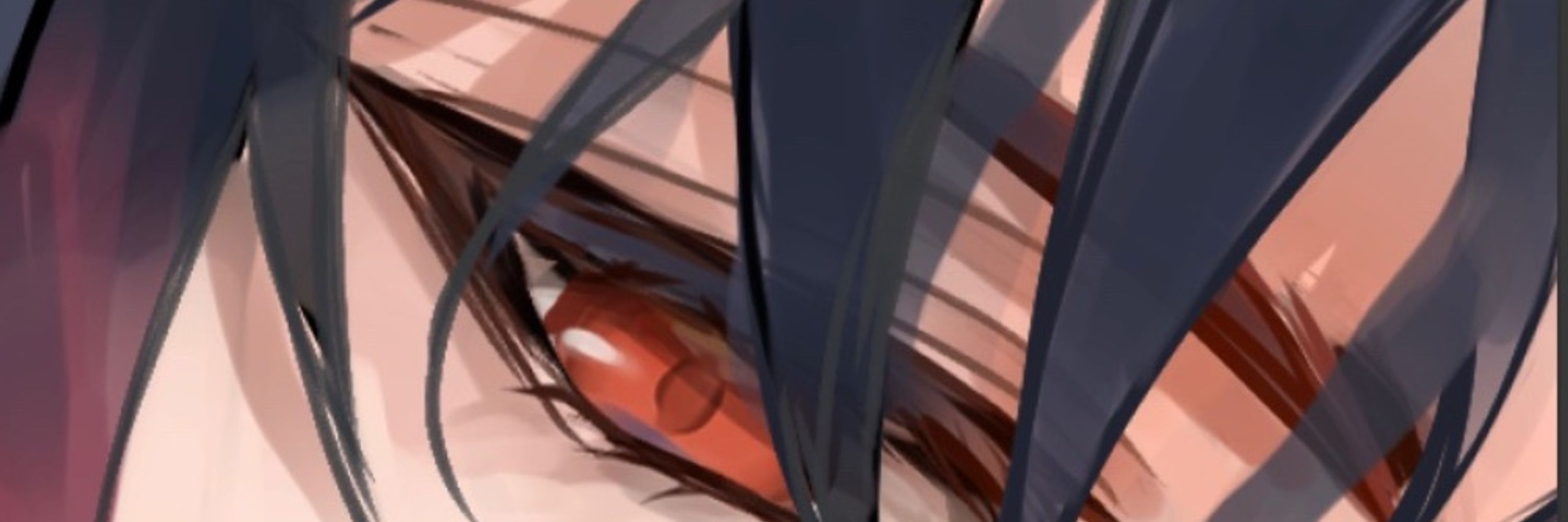 猫宗