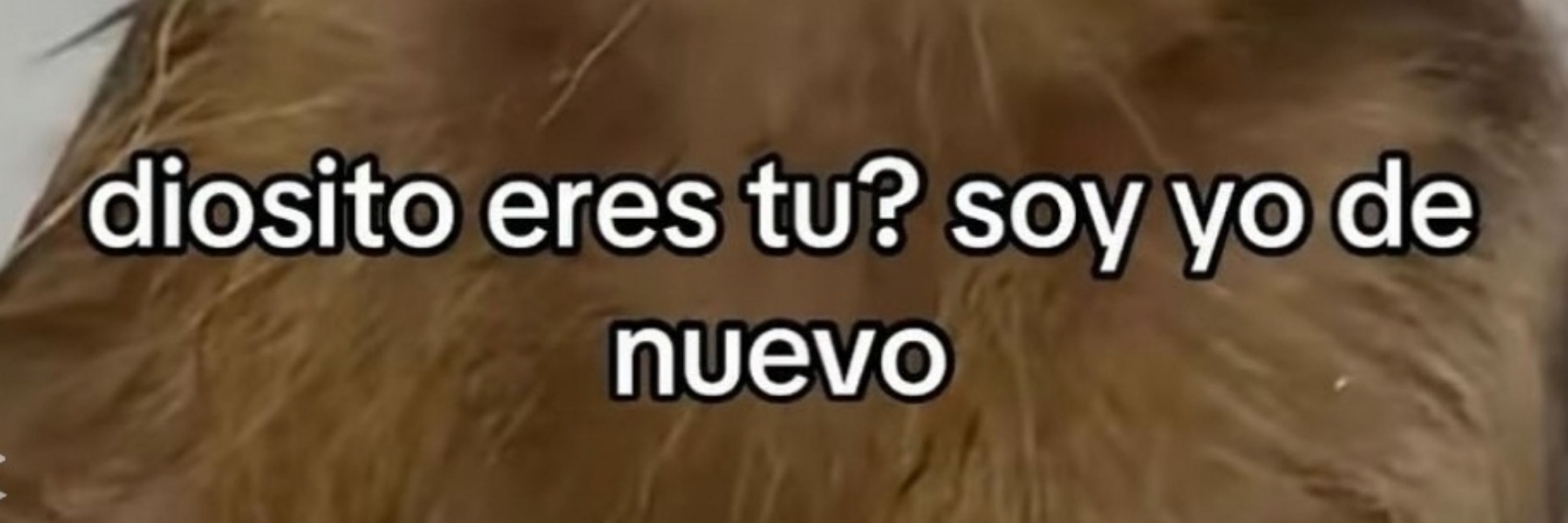 Léo