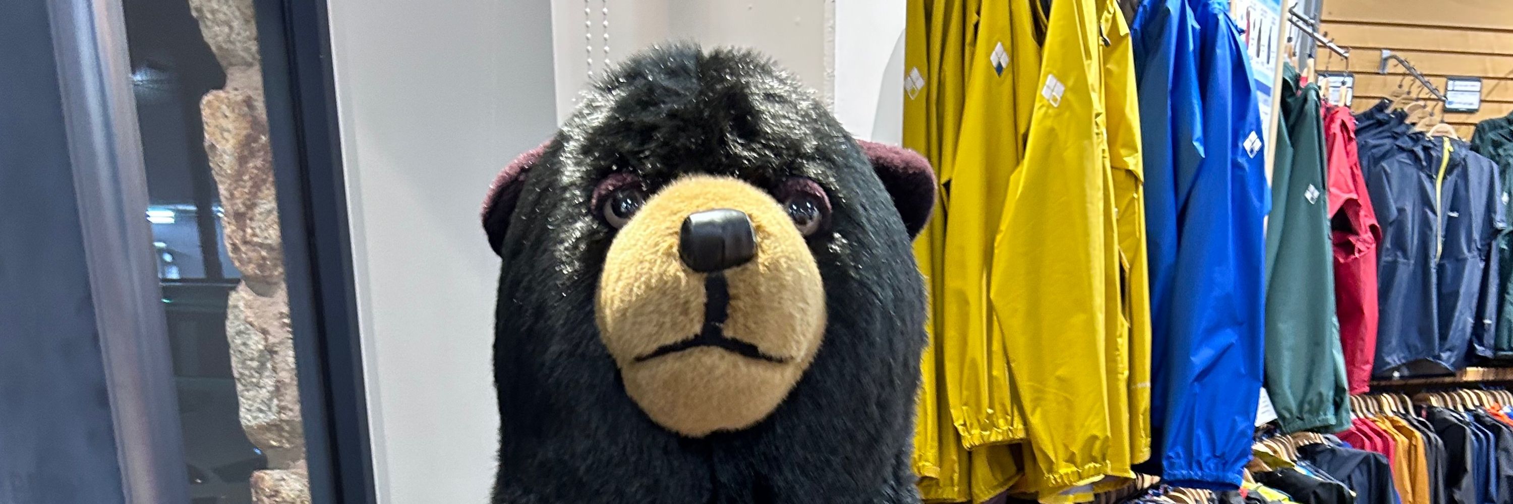 ユウ