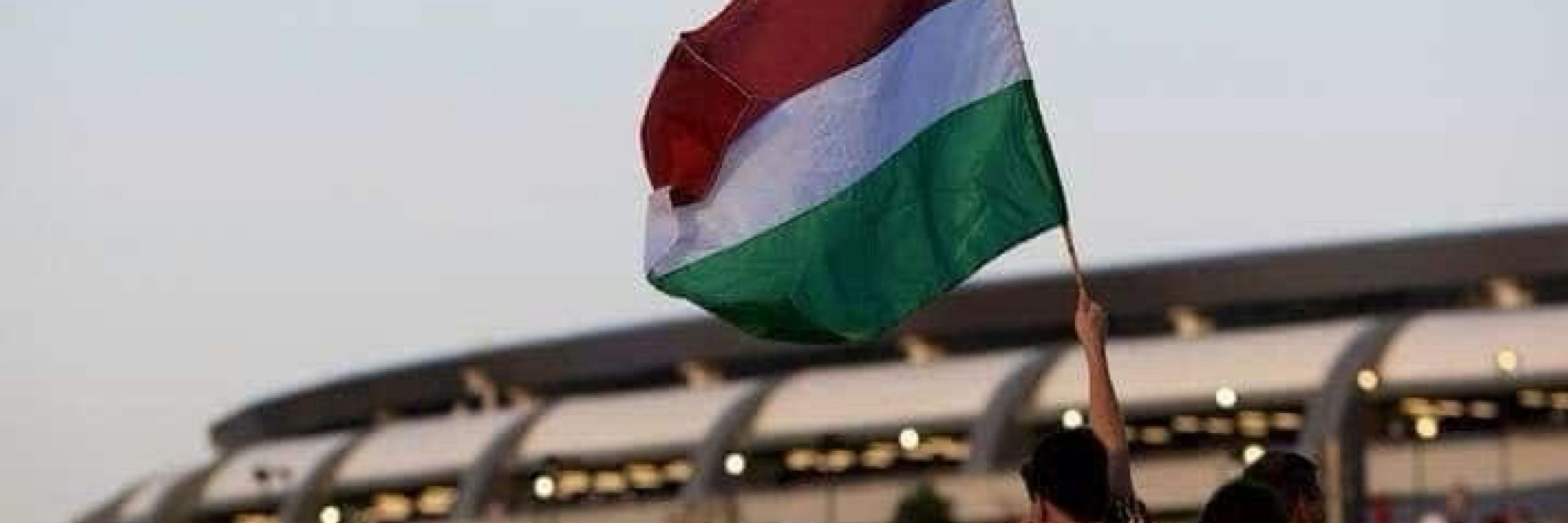 davi🇭🇺