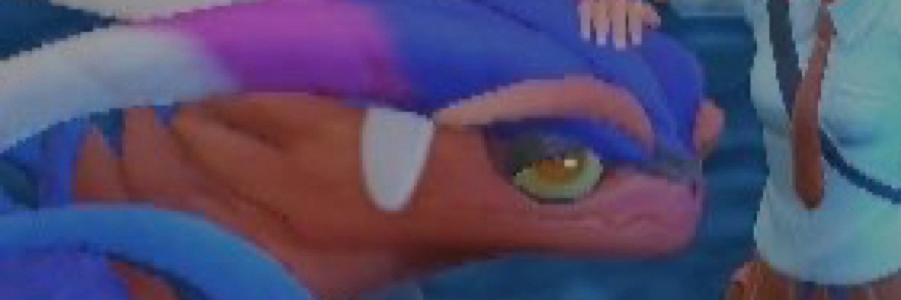 ノラノ