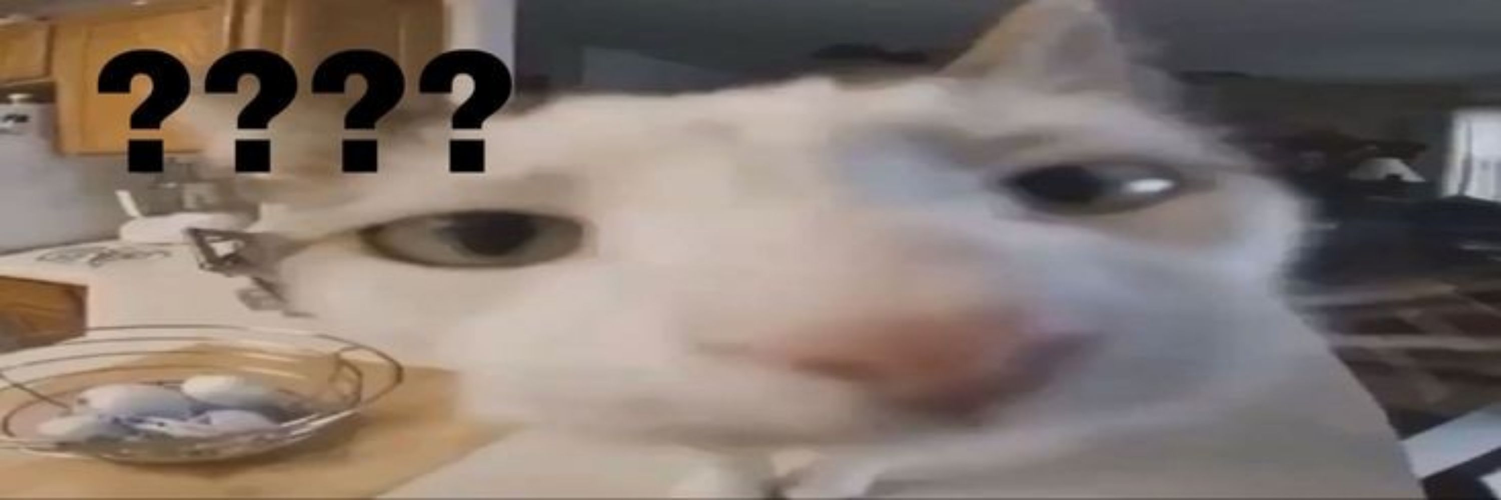 ave.