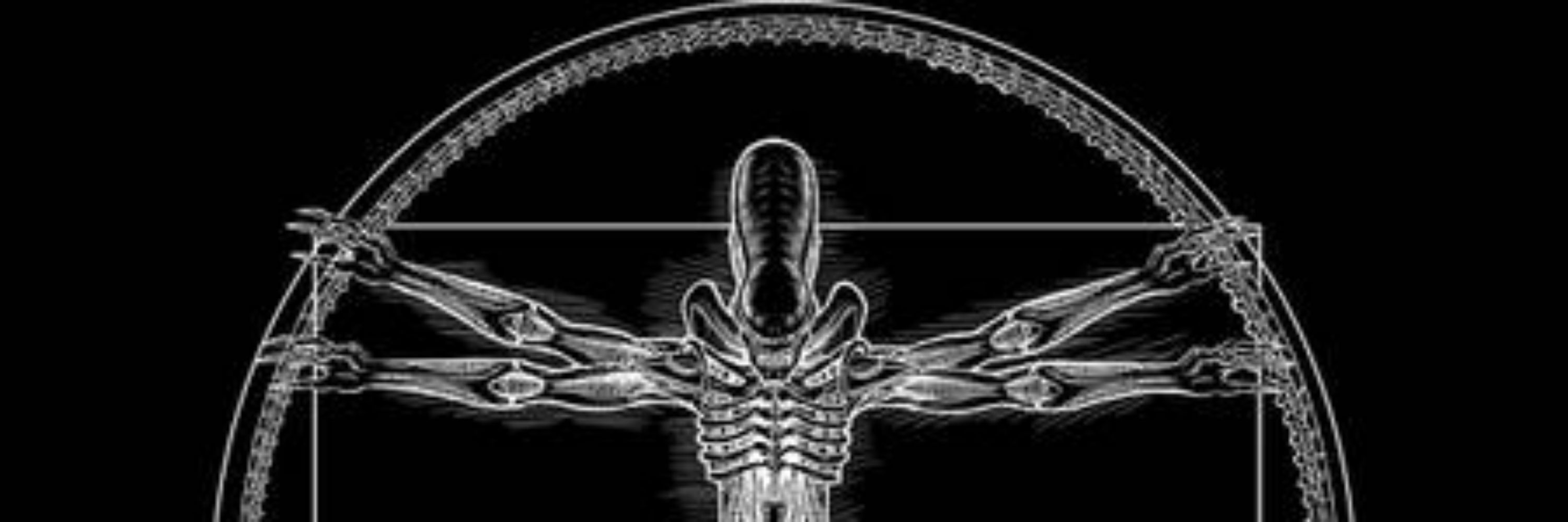 Skinfather