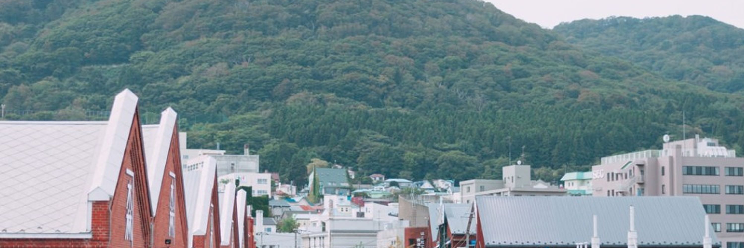 東野
