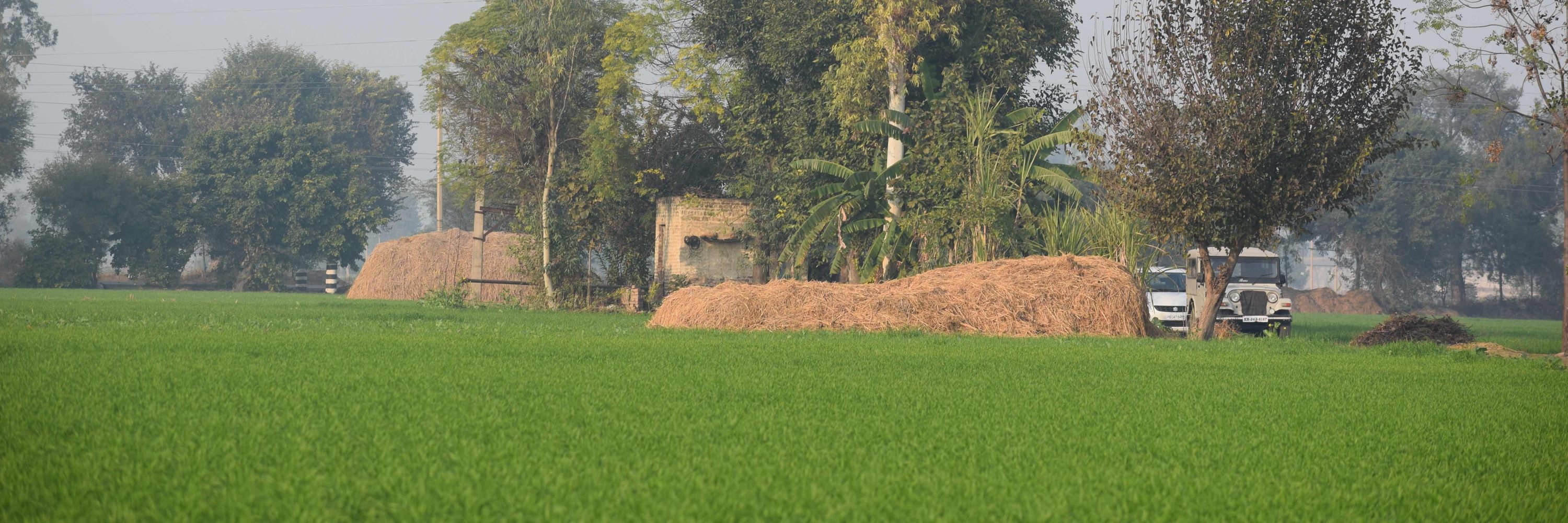 Prabhsharanbir Singh