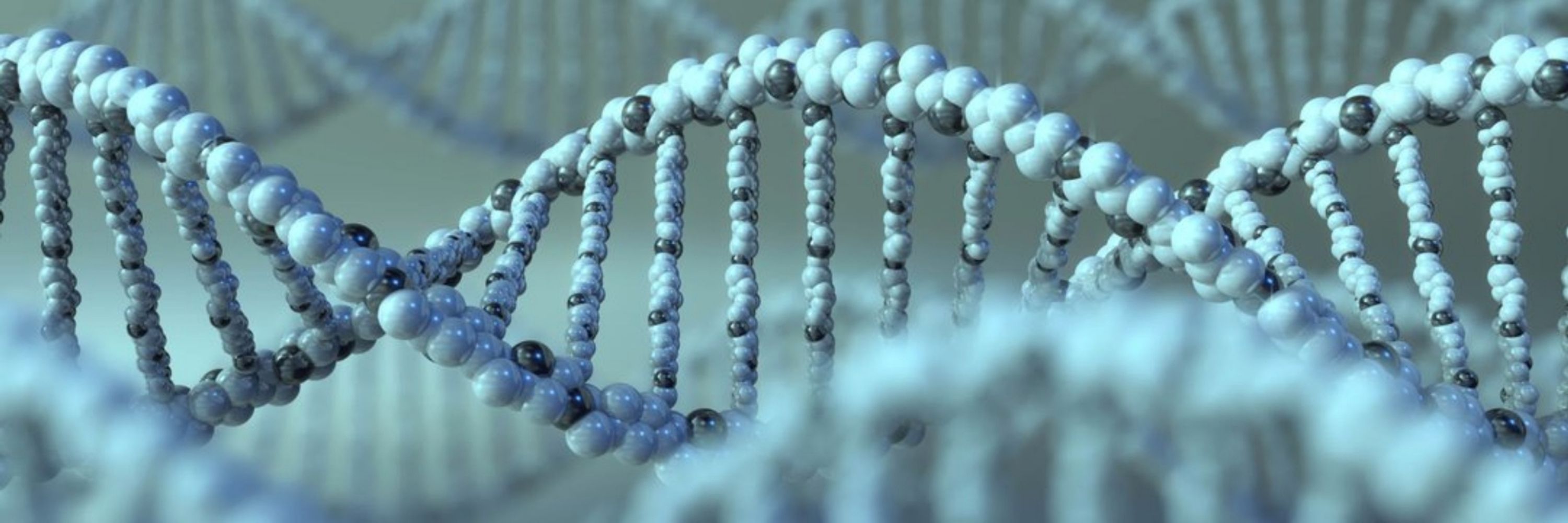 Ramaciotti Centre for Genomics