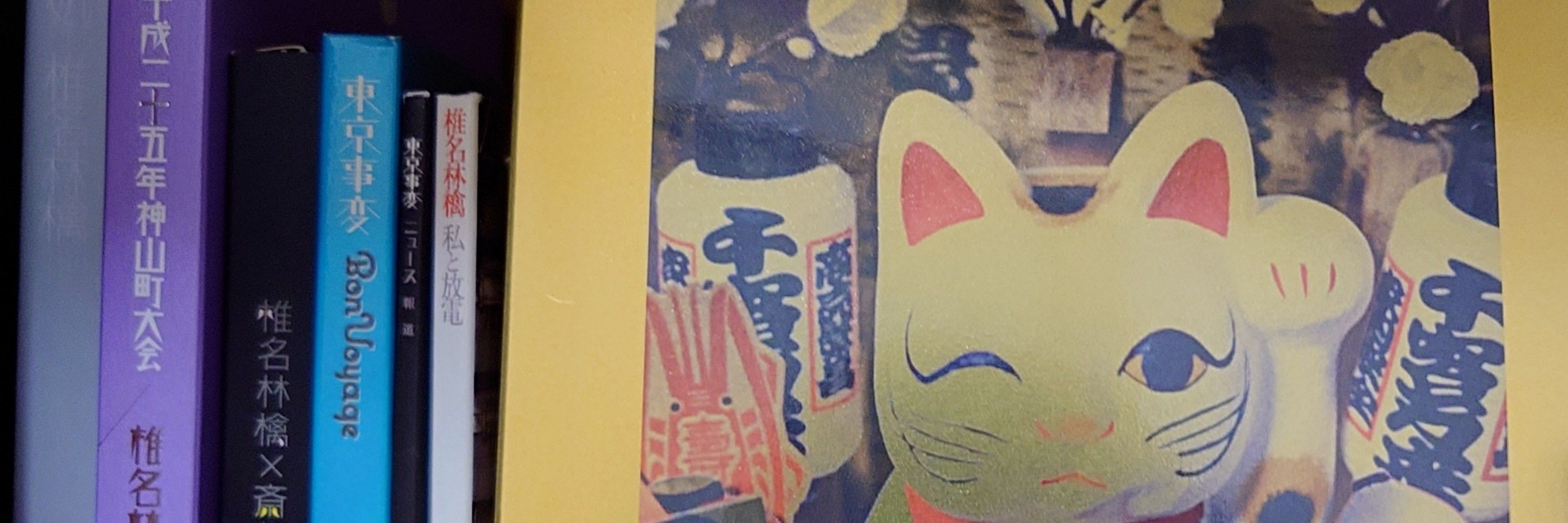 イヌリン⑯