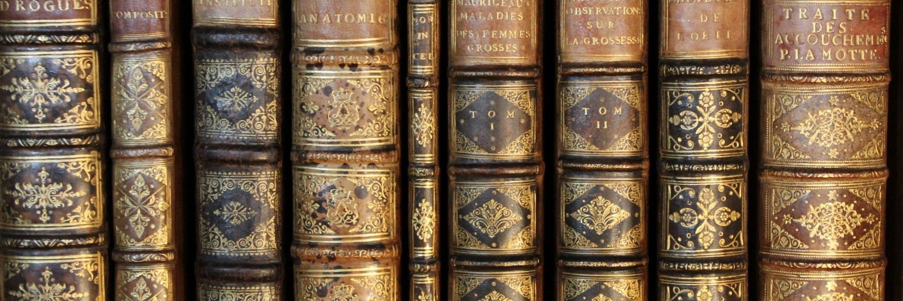 The Edward Worth Library, Dublin
