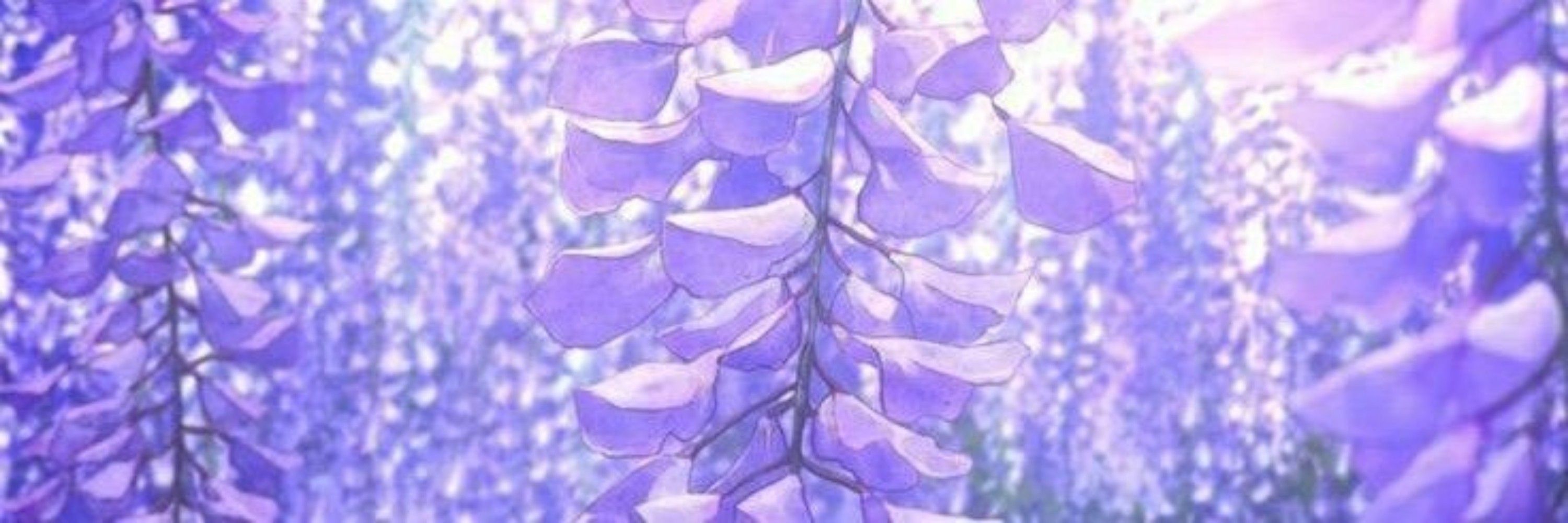 ﾟ.🕊˚₊𝑆𝑝𝑜𝑜𝑛𝑖𝑒❕ 