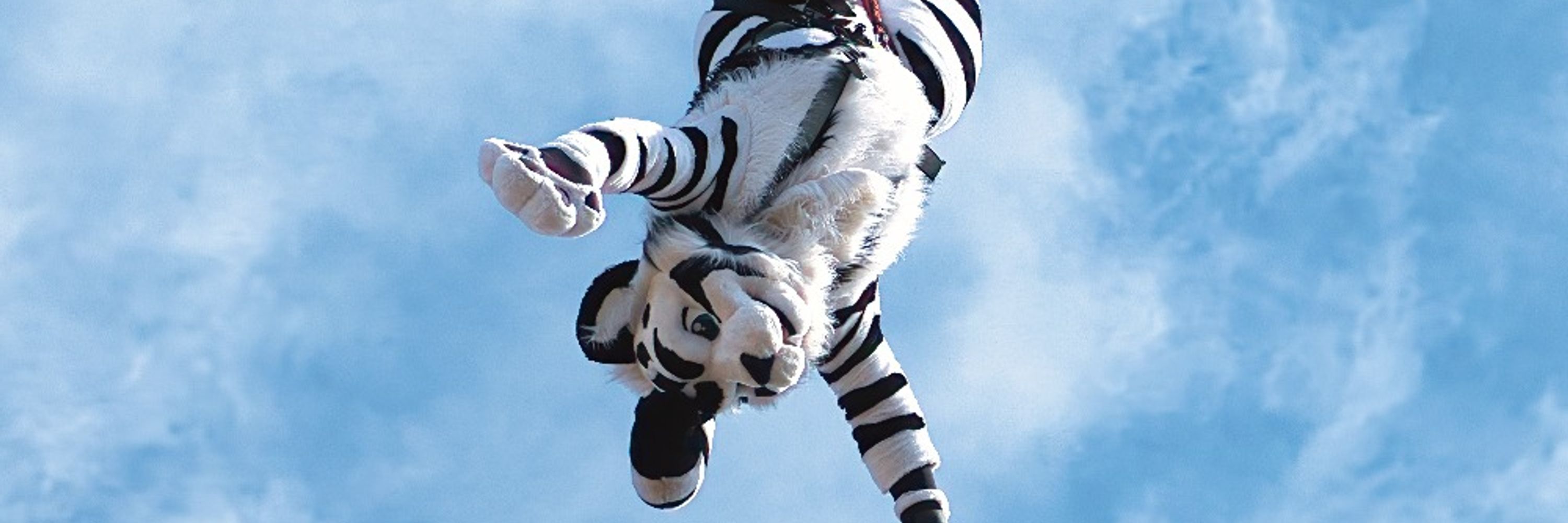 Aphinic Tiger