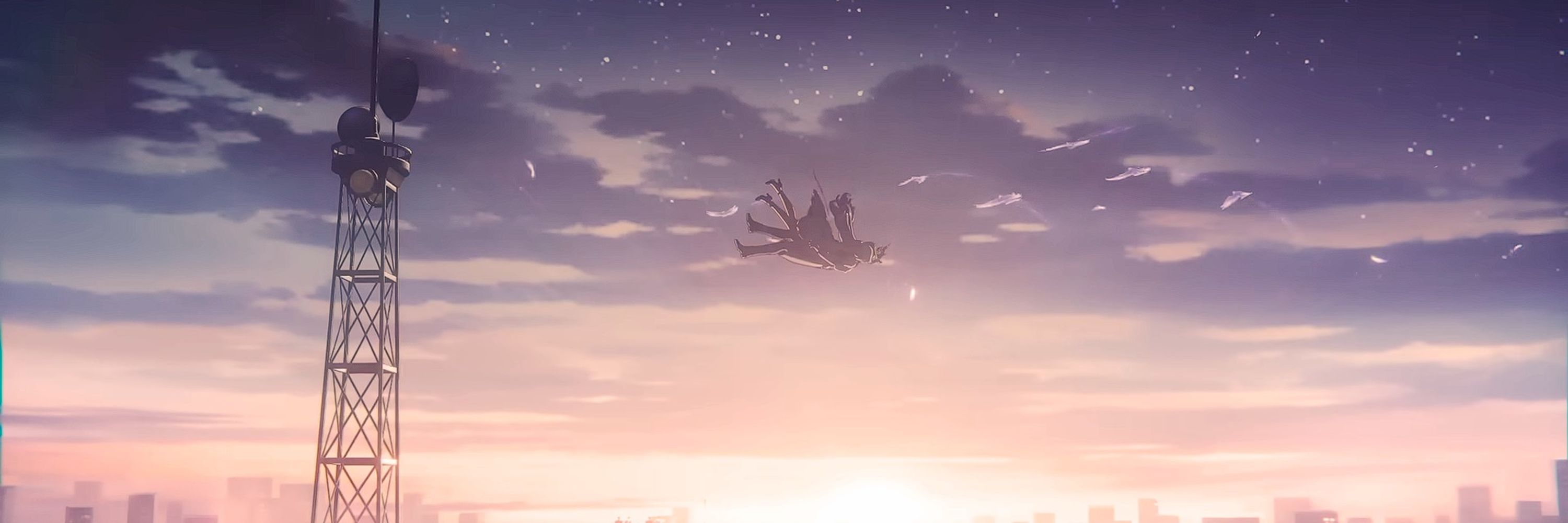 ☆⋆   robin .