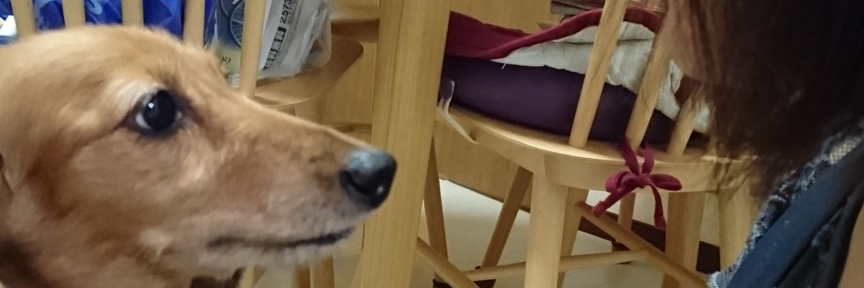 うーへー