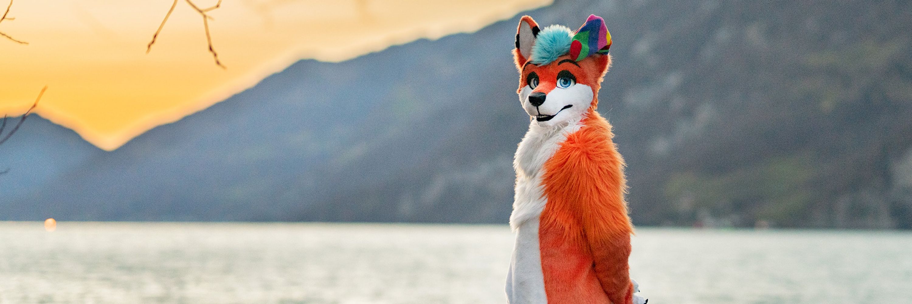 Fuzzy Sock Fox