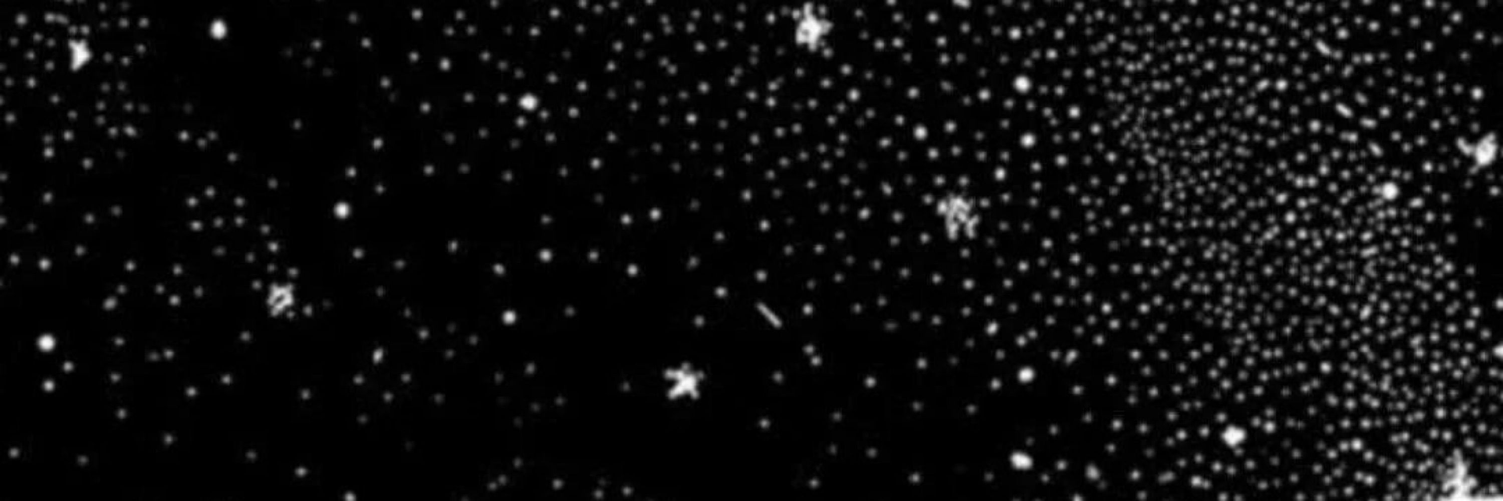 「 ✦ 𝐒𝐥𝐮𝐭𝐬 𝐎𝐧𝐥𝐲 ✦ 」