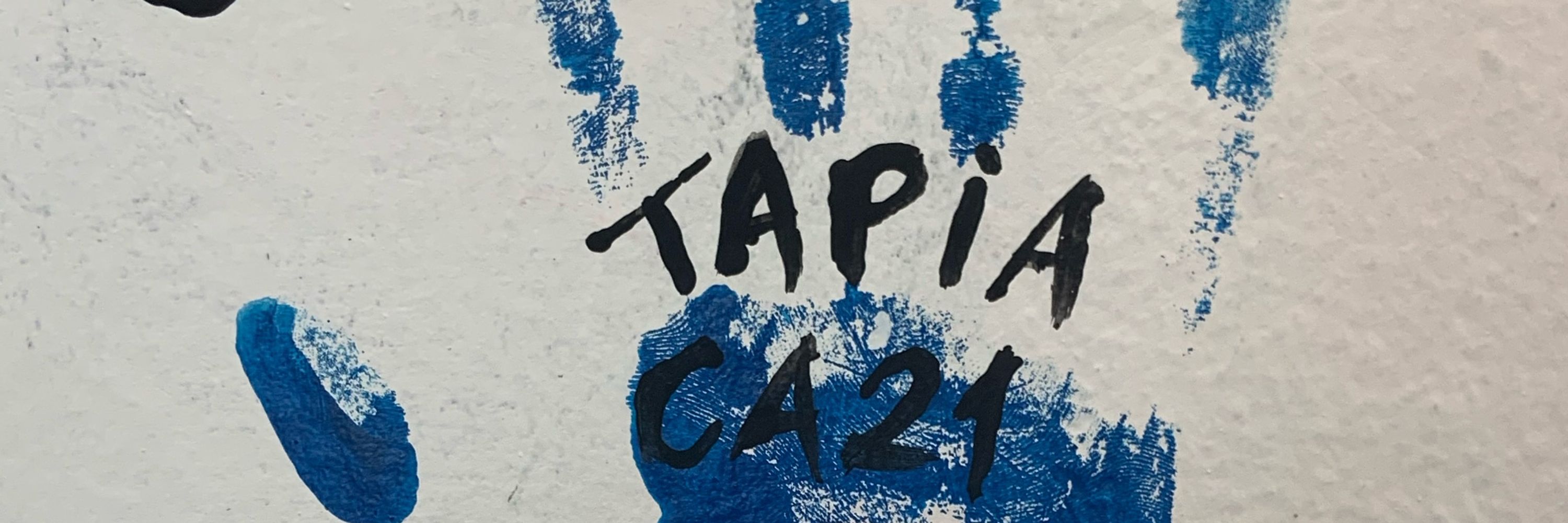 Tapia 🧚🏻‍♂️