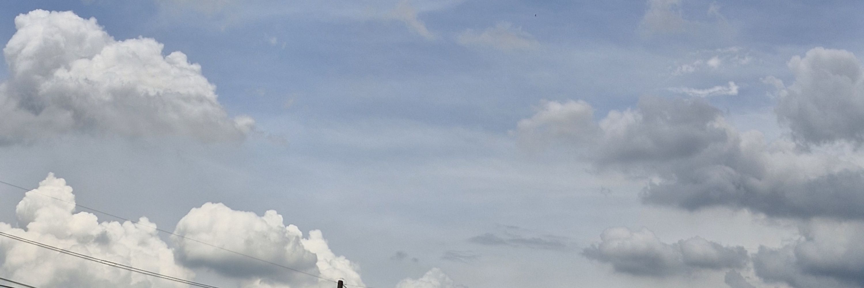 PP♡