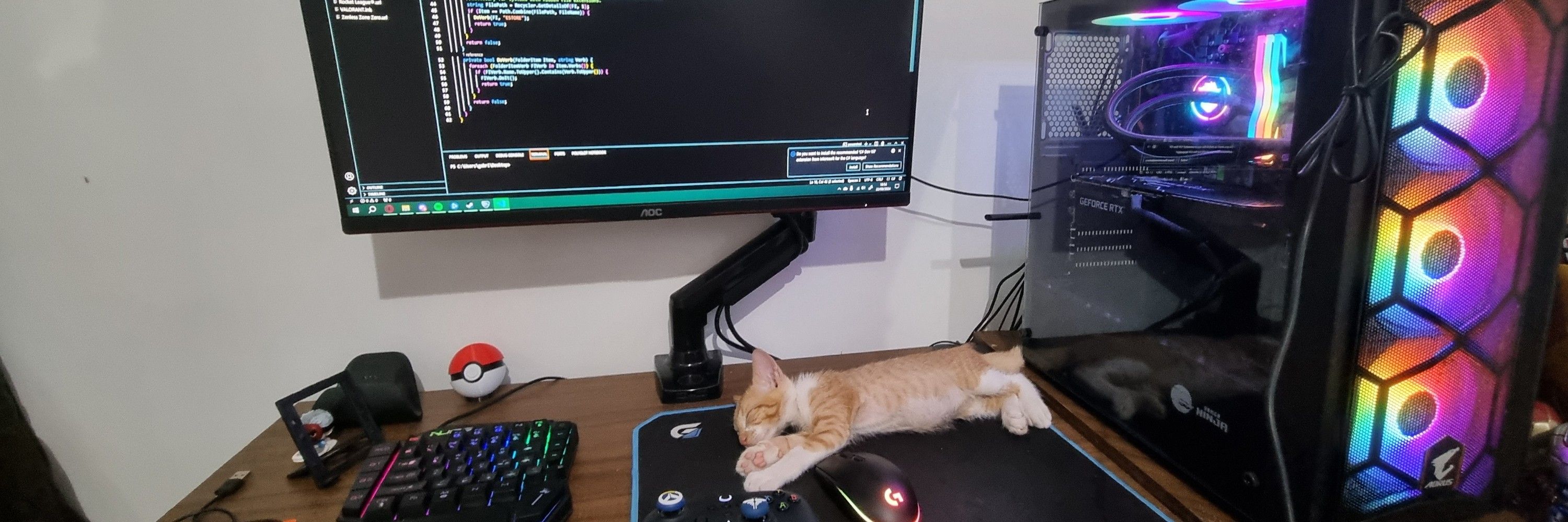 Gabriel Nino 🕹