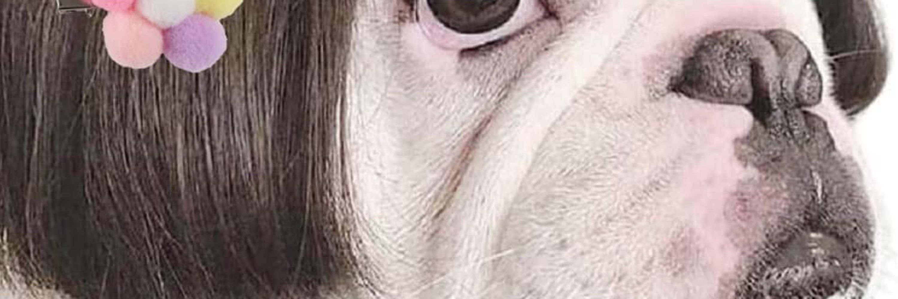 Lois