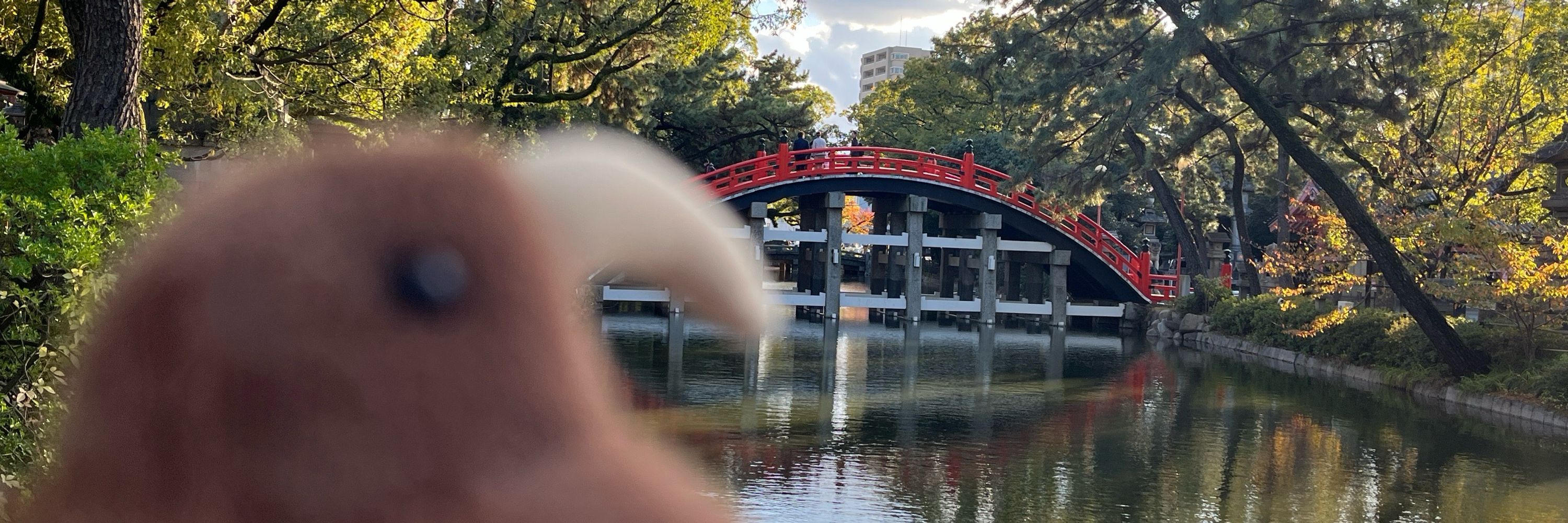 隅っこ