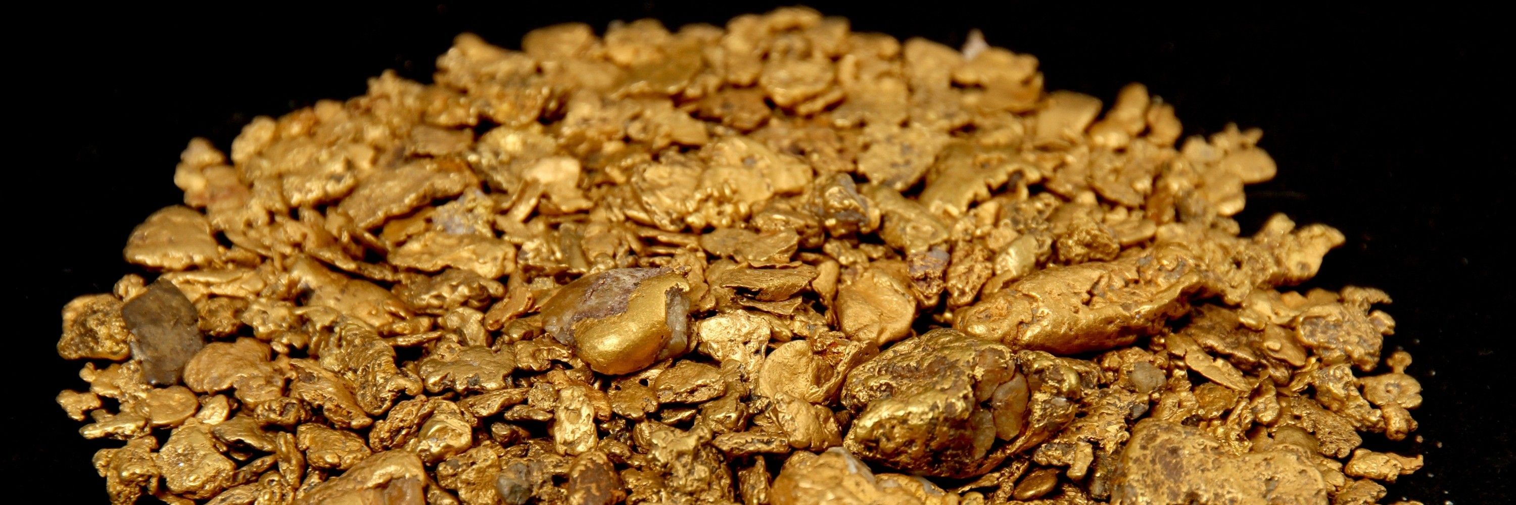 Gold Prospector
