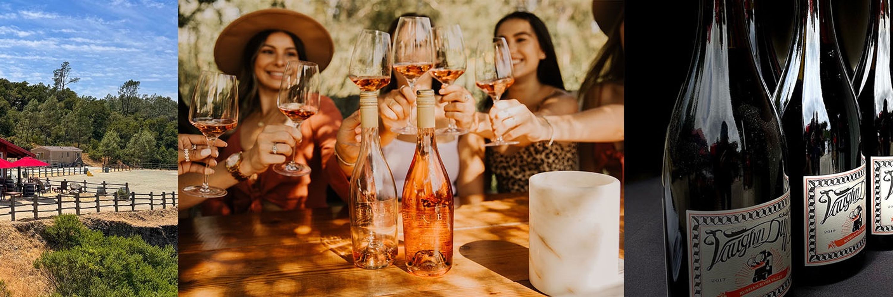 Beyond Napa Valley