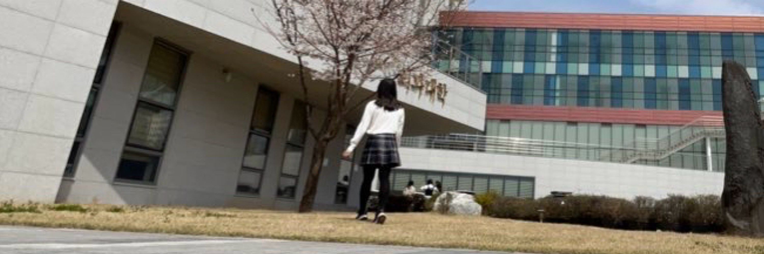 요루