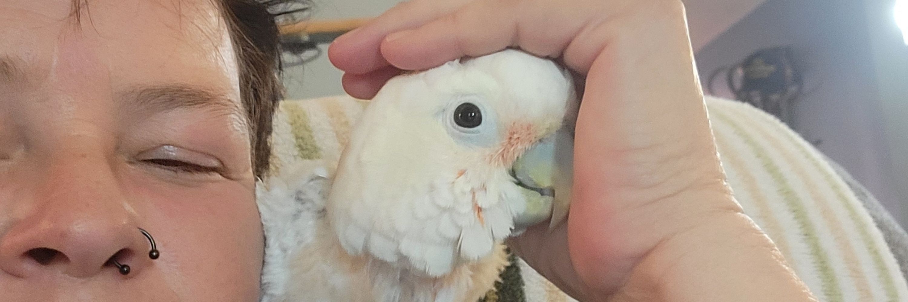 Angela 🦜🌈💙🏳️‍🌈🖖