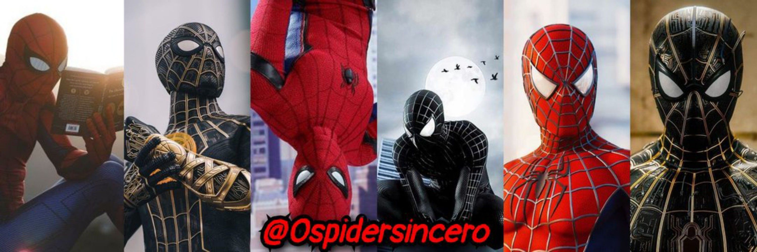 Spider Sincero 🕷