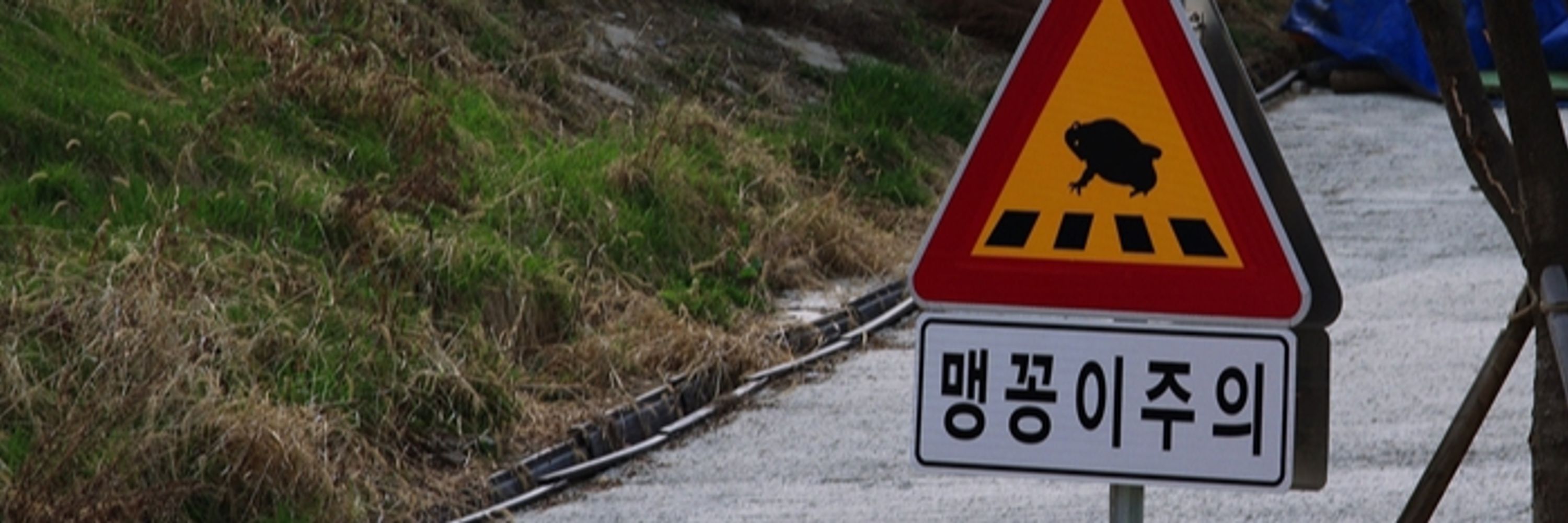 홋따