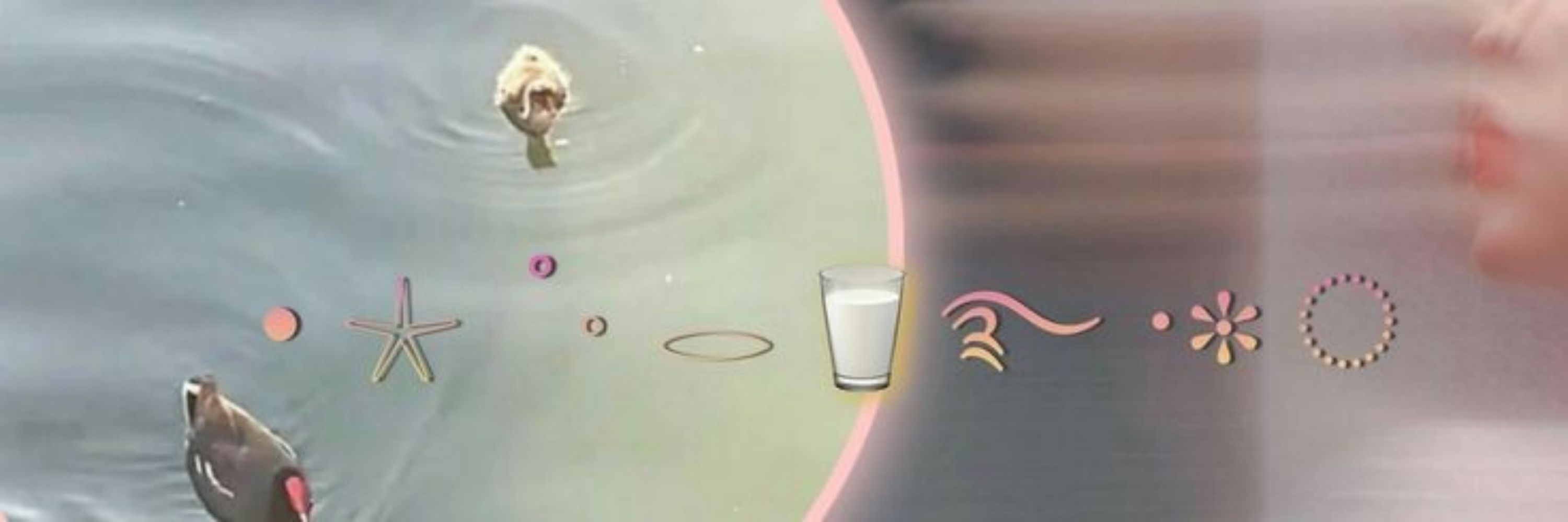 ˖𓍢ִ໋🌷͙֒✧˚