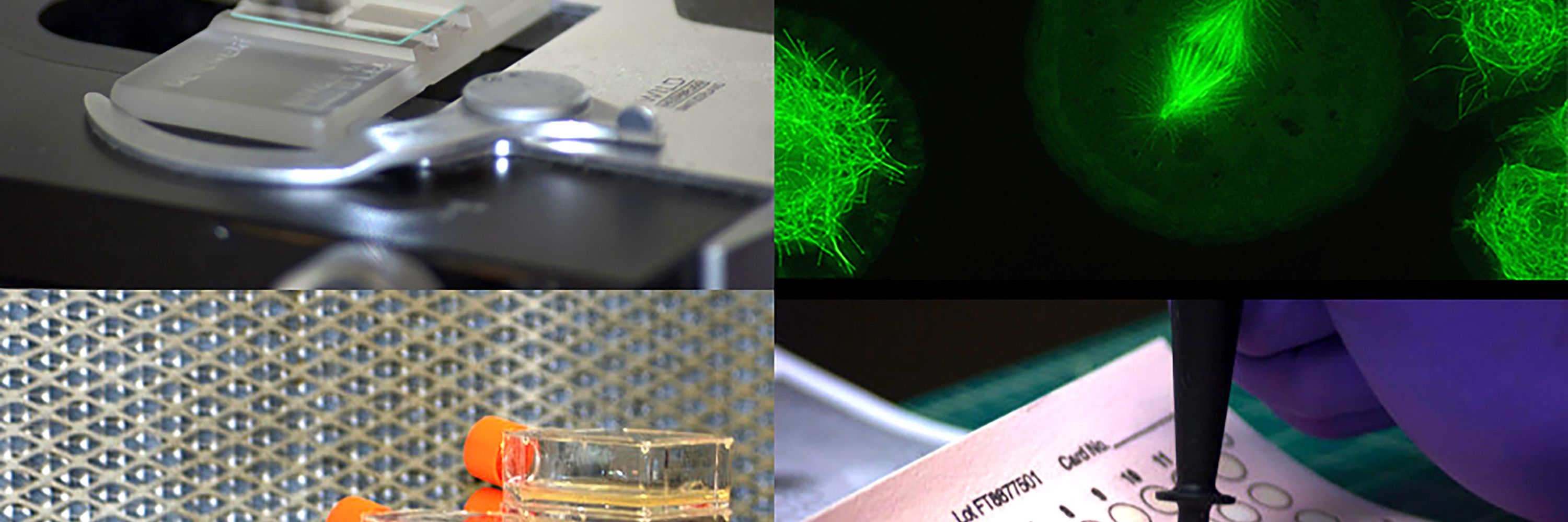 Drosophila Genomics Resource Center