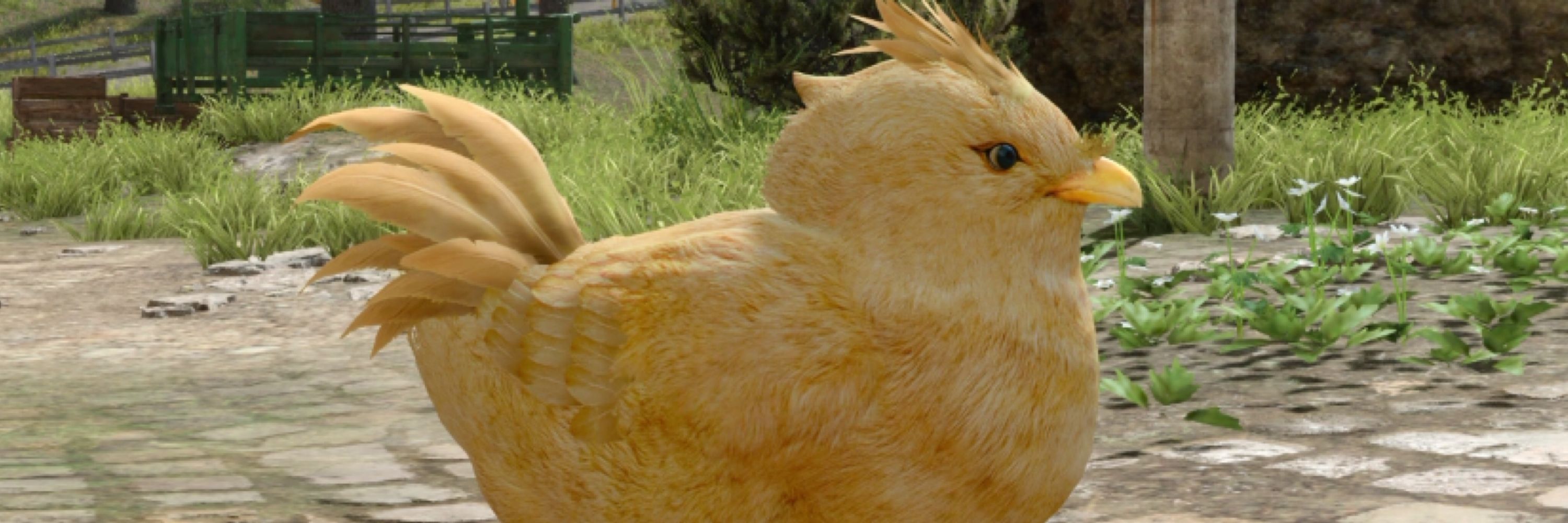 Meep