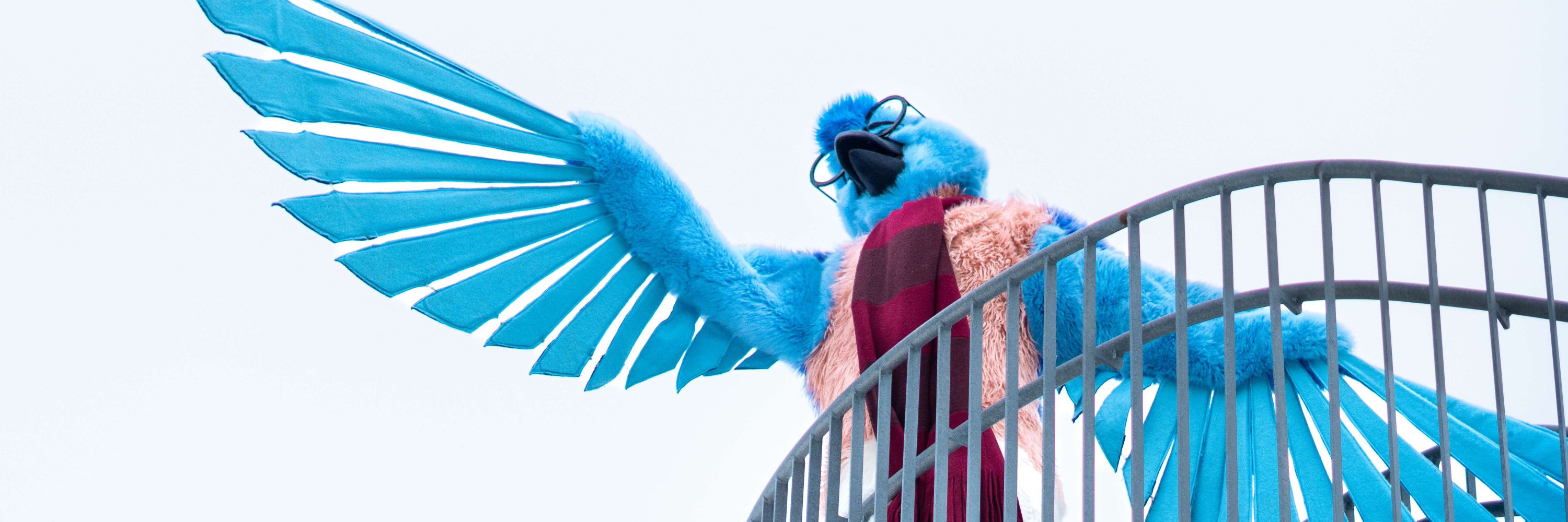 Flloyd the Eagle/Levi the Bluebird 🦅🐦