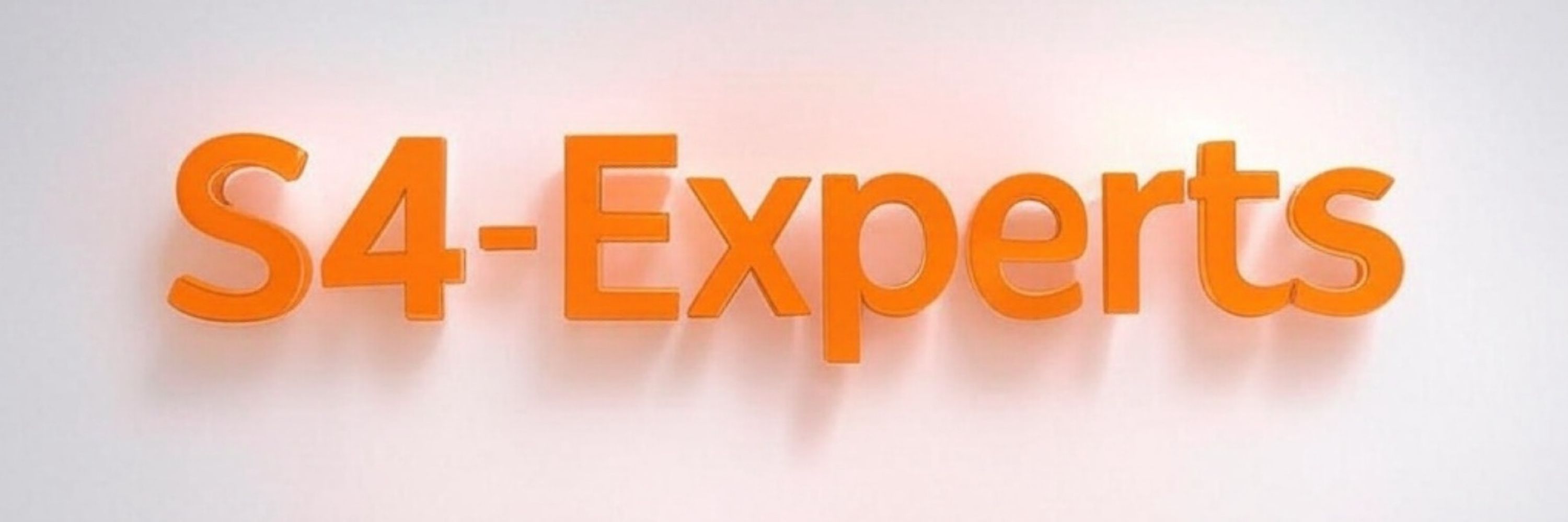 SAP® Consulting S4-Experts