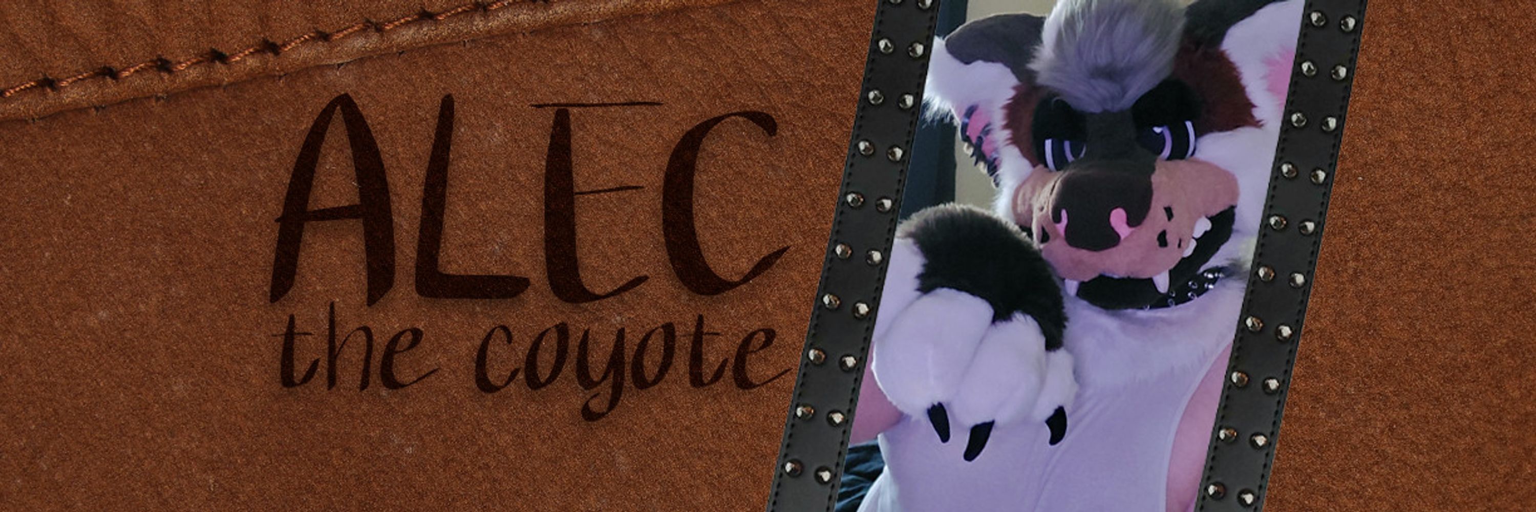 Alec The Coyote