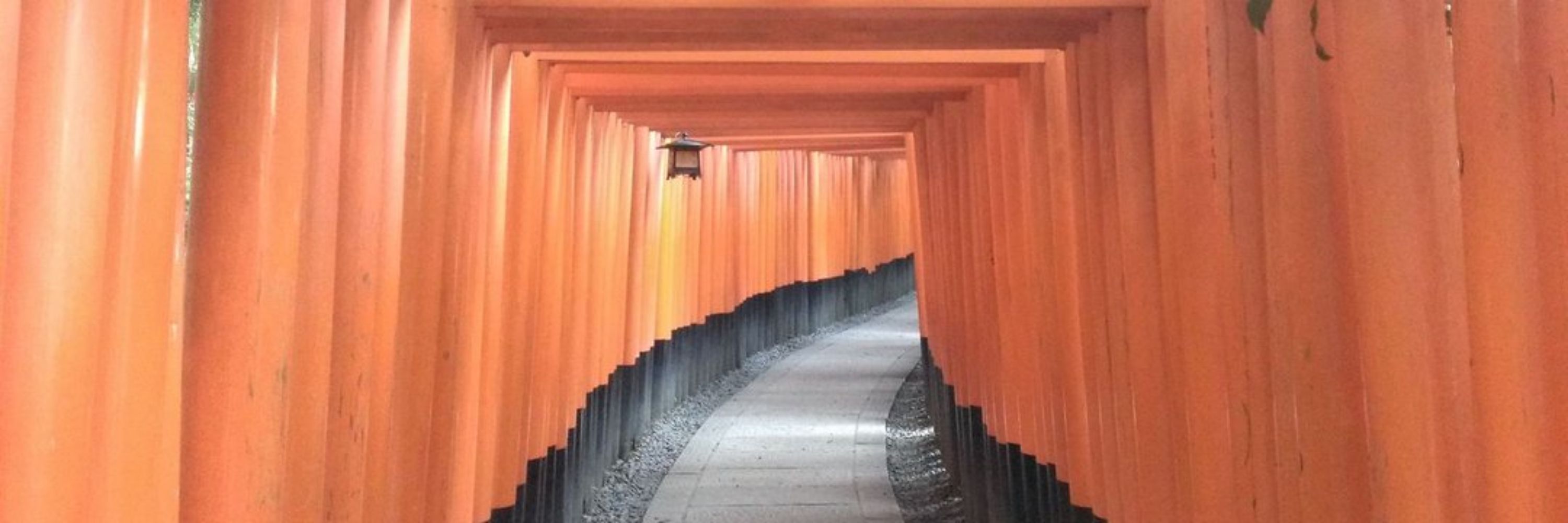 わいとめあ