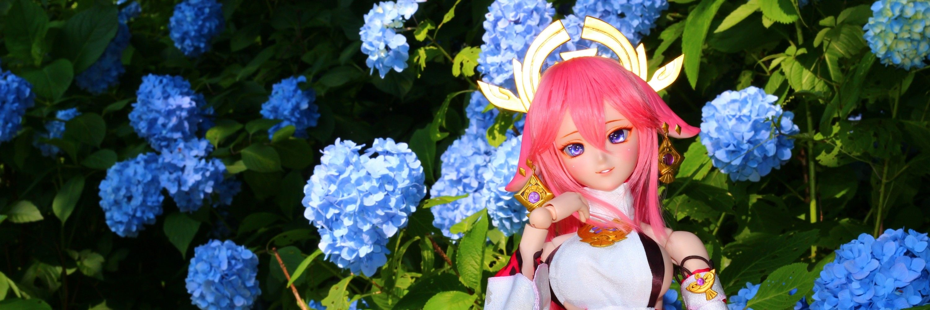 Maple