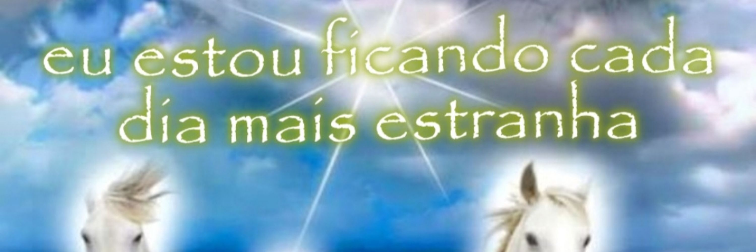 eh a marigoldji